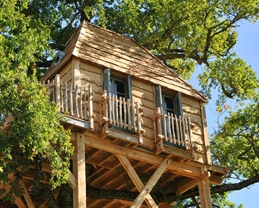 La cabane perchée