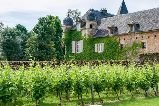 Galerie photos du Château de Labro