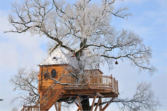 Cabane perchée